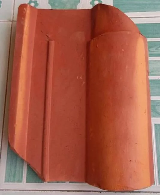magas merah